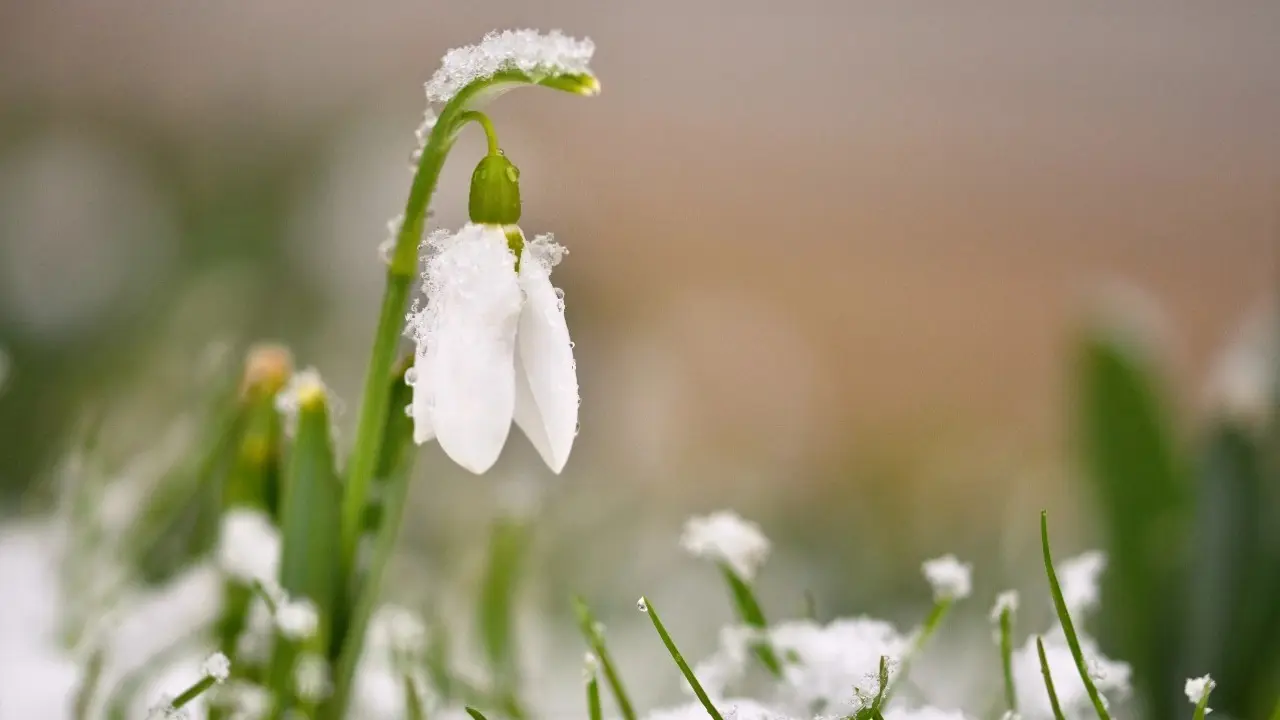 Фото Depositphotos.com