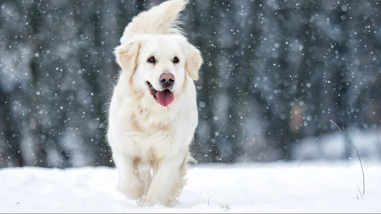 Фото Depositphotos.com