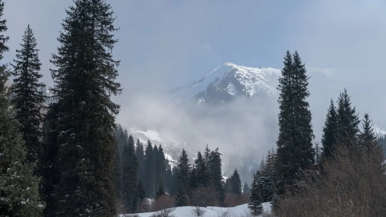 Фото Informburo.kz