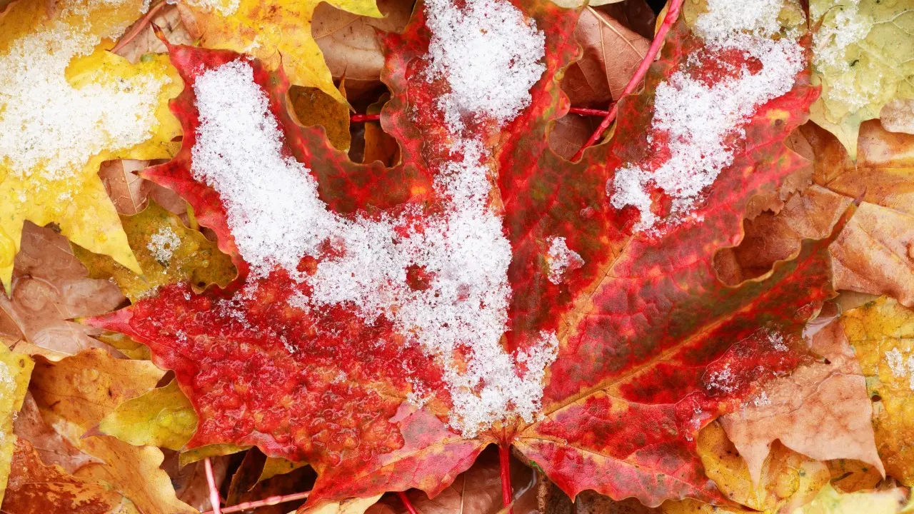 Фото Depositphotos.com