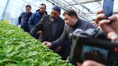 Туркестан: в Сарыагаше рассматривается вопрос открытия оптово-распределительного центра