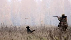 Перезакрепление охотничьих угодий в ВКО: новая модель управления и курс на открытость