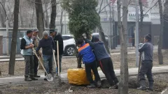Almaty Clean & Green: общегородская экоакция пройдёт в день "Тазару күні"