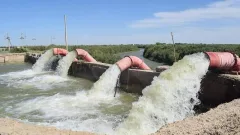 В Туркестанской области полным ходом идут работы по водоснабжению посевов и ремонту водных объектов 