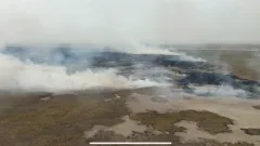 Пожар в резервате "Акжайык": предпринимаются системные меры по ликвидации последствий и предупреждению новых возгораний