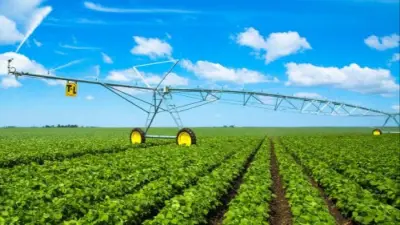 Туркестан делает ставку на водосбережение: технологии охватят 114 тысяч гектаров