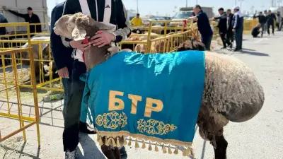 В Туркестанской области прошла международная выставка животноводства