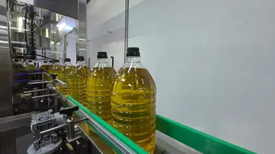 "Лучший инструмент для экспортёра": глава костанайского маслозавода о поддержке Экспортно-кредитного агентства Казахстана