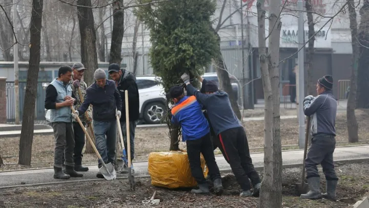 Almaty Clean & Green: общегородская экоакция пройдёт в день "Тазару күні"