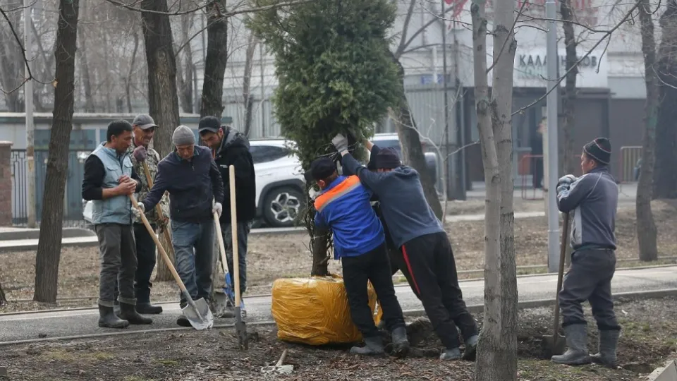 Almaty Clean & Green: общегородская экоакция пройдёт в день "Тазару күні"