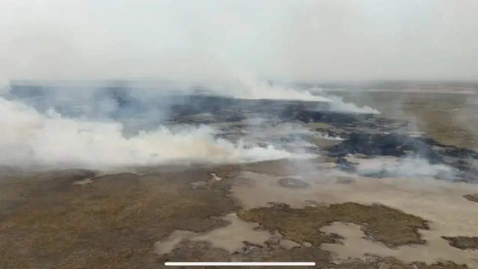 Пожар в резервате "Акжайык": предпринимаются системные меры по ликвидации последствий и предупреждению новых возгораний