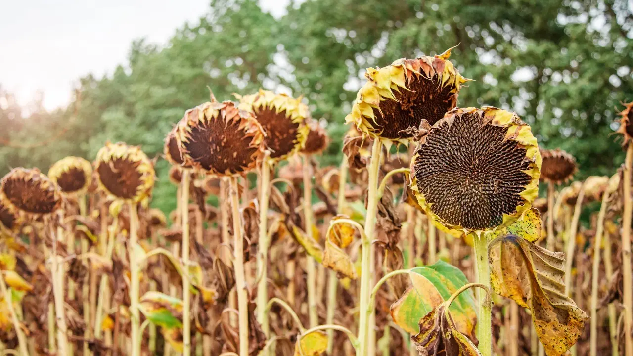 Фото Depositphotos.com