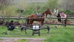"Сельское хозяйство сегодня – это тихая трагедия". Эксперт о том, что происходит с казахстанским АПК