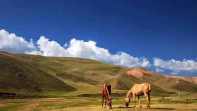 Возвращённые гектары: от отчётов до реальности. Эксперты о судьбе земель сельхозназначения