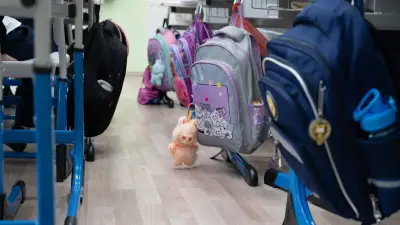 Государство против рынка? Почему частные школы попали под оптимизацию