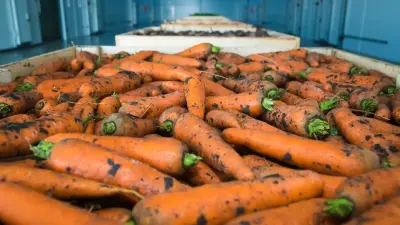 Морковь под запретом, или Как решения чиновников разгоняют цены и бьют по отечественному АПК