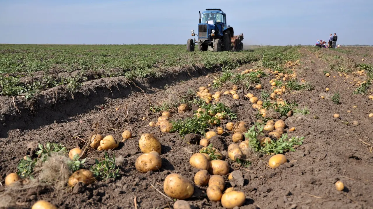 Фото Depositphotos.com