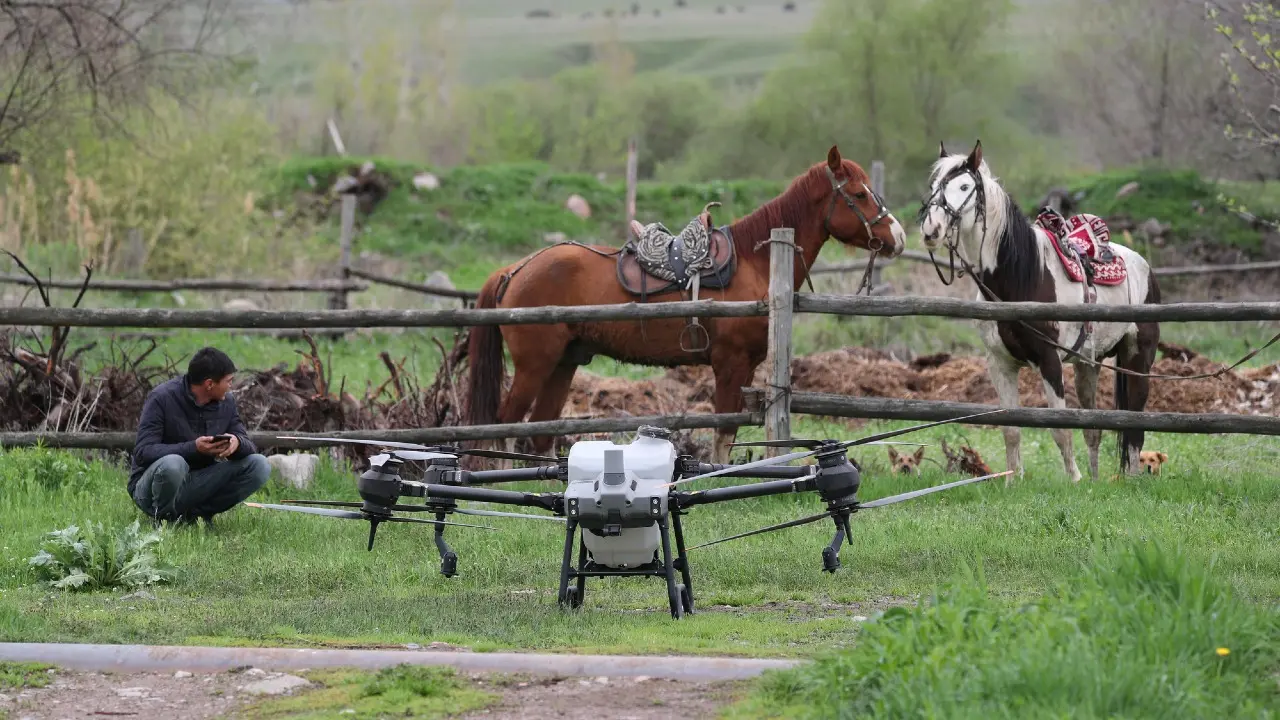 "Сельское хозяйство сегодня – это тихая трагедия". Эксперт о том, что происходит с казахстанским АПК