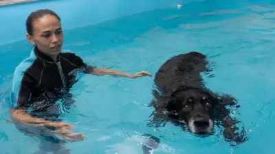 Дог-фитнес. Истории о том, как в Алматы борются с лишним весом у собак