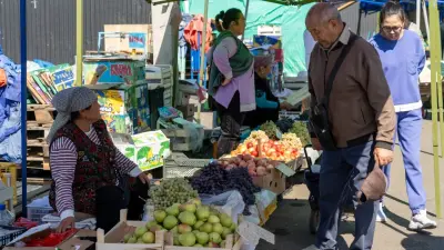 Помидоры по 100, мандарины по 500 тенге. Где выгодно закупаться овощами и фруктами алматинцам?