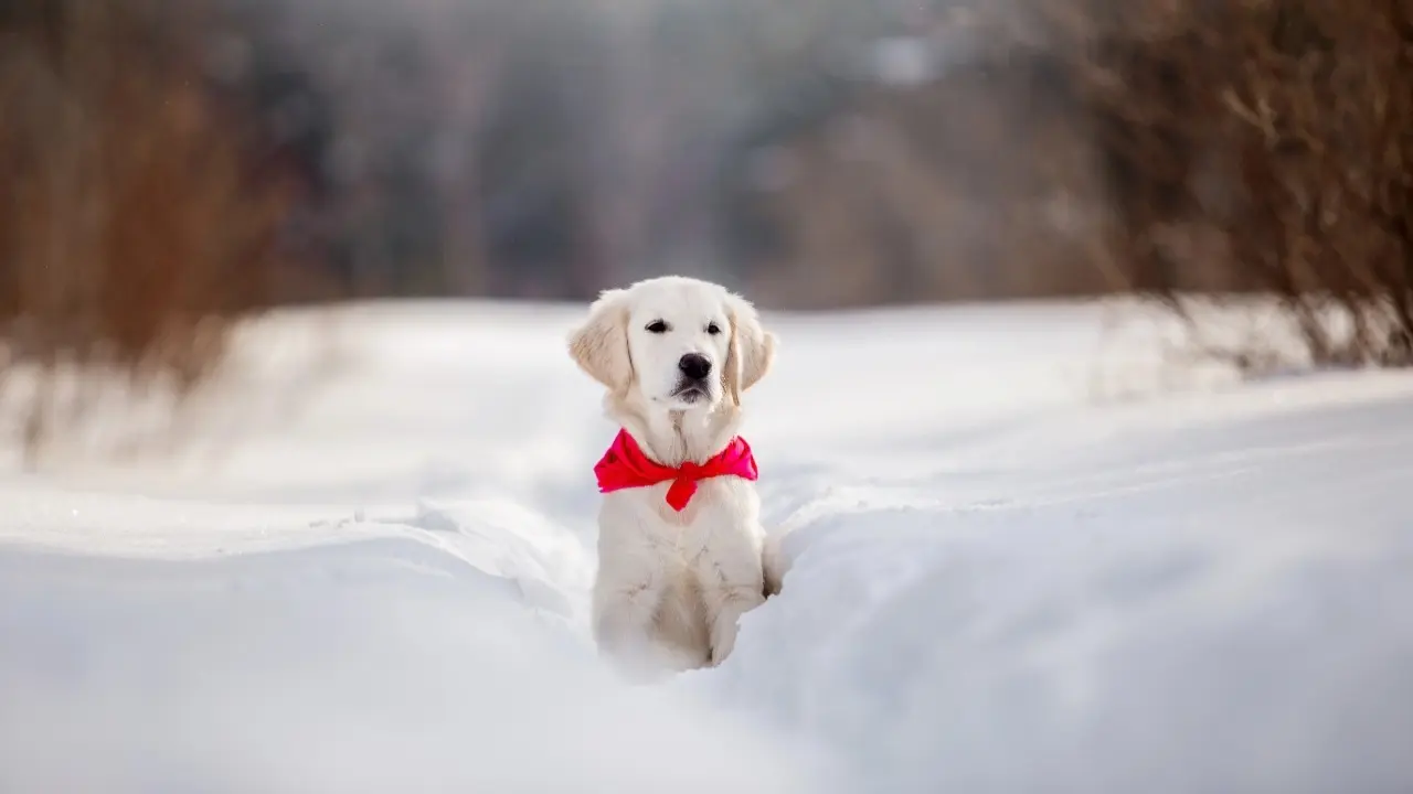 Фото Depositphotos.com