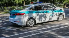 20 суток ареста получил житель Жезказгана за повреждение патрульной машины