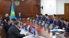 "Все виноваты, кроме вас". Премьер раскритиковал акима Алматинской области