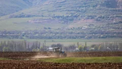 Впервые по лимиту воды: что будут сеять в Казахстане в 2026 году