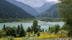 Предгорье Алатау, побережье Каспия, Бурабай: 800 тысяч га земель олигополий вернули государству