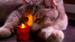 Где в Алматы будут отключать свет в ближайшие дни