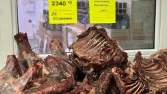 Минсельхоз: Большого спроса на мясо сайгаков нет