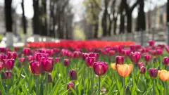В одном из городов Казахстана июльская жара побила рекорд 111-летней давности