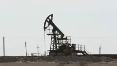 Завод в Казахстане будет перерабатывать российскую нефть. Как распределят готовую продукцию?