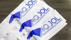 "Новых людей, пришедших вчера, у нас нет". Глава "Ак жола" о кандидатах своей партии
