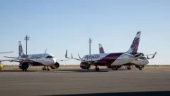 Самолёт сбил собаку после посадки в Шымкенте