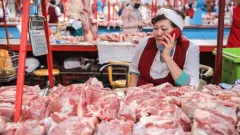 Мы конкуренции не боимся – Минсельхоз Казахстана об экспорте мяса