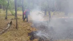 Два лесных пожара произошли за день в Казахстане