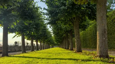 Излишние требования и расхождения в документах: сомнительный тендер на 150 млн тенге отменили в Семее