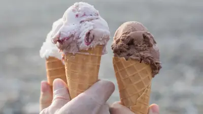 "Шин-Лайн" и "Баян сулу" расширяются: 6 крупных проектов на 2026 год назвали в правительстве