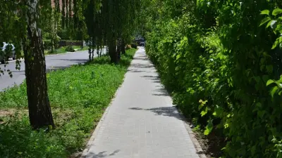 Газон не вырос: почему новый метод посева травы в центре Алматы не оправдал ожиданий