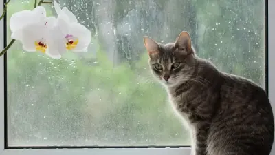 Осадки и похолодание ожидаются в Казахстане в ближайшие дни