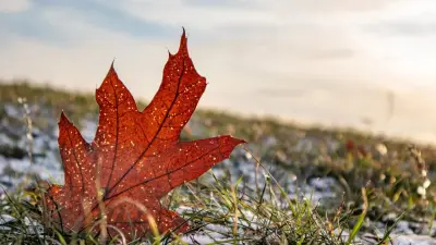 Туманы, усиление ветра и дожди прогнозируют в Казахстане