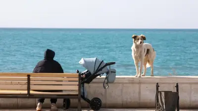 Цена секретности: сколько стоит экологическое молчание на Каспии? Разбирательство началось в ООН