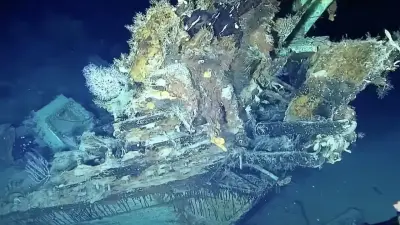 Сокровища на 10 млрд долларов: с затонувшего 300 лет назад галеона "Сан-Хосе" начали поднимать артефакты