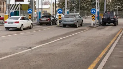 Ввоз нелегальных авто: новых ограничений не будет, но наказание за нарушения могут ужесточить