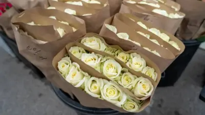 Как в Алматы получить место для легальной продажи цветов к 8 Марта