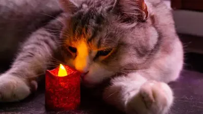 Где в Алматы будут отключать свет в ближайшие дни