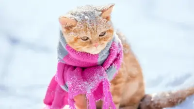 Морозы на севере и снег с метелями на юге: какая погода ждёт казахстанцев на выходных