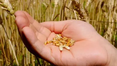 "Мы не видим рисков". Минторговли о дефиците товаров из-за блокировки Персидского залива