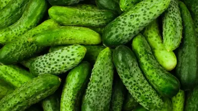 Недавно сам покупал огурцы за 2300 тенге в магазинах у дома – вице-министр сельского хозяйства